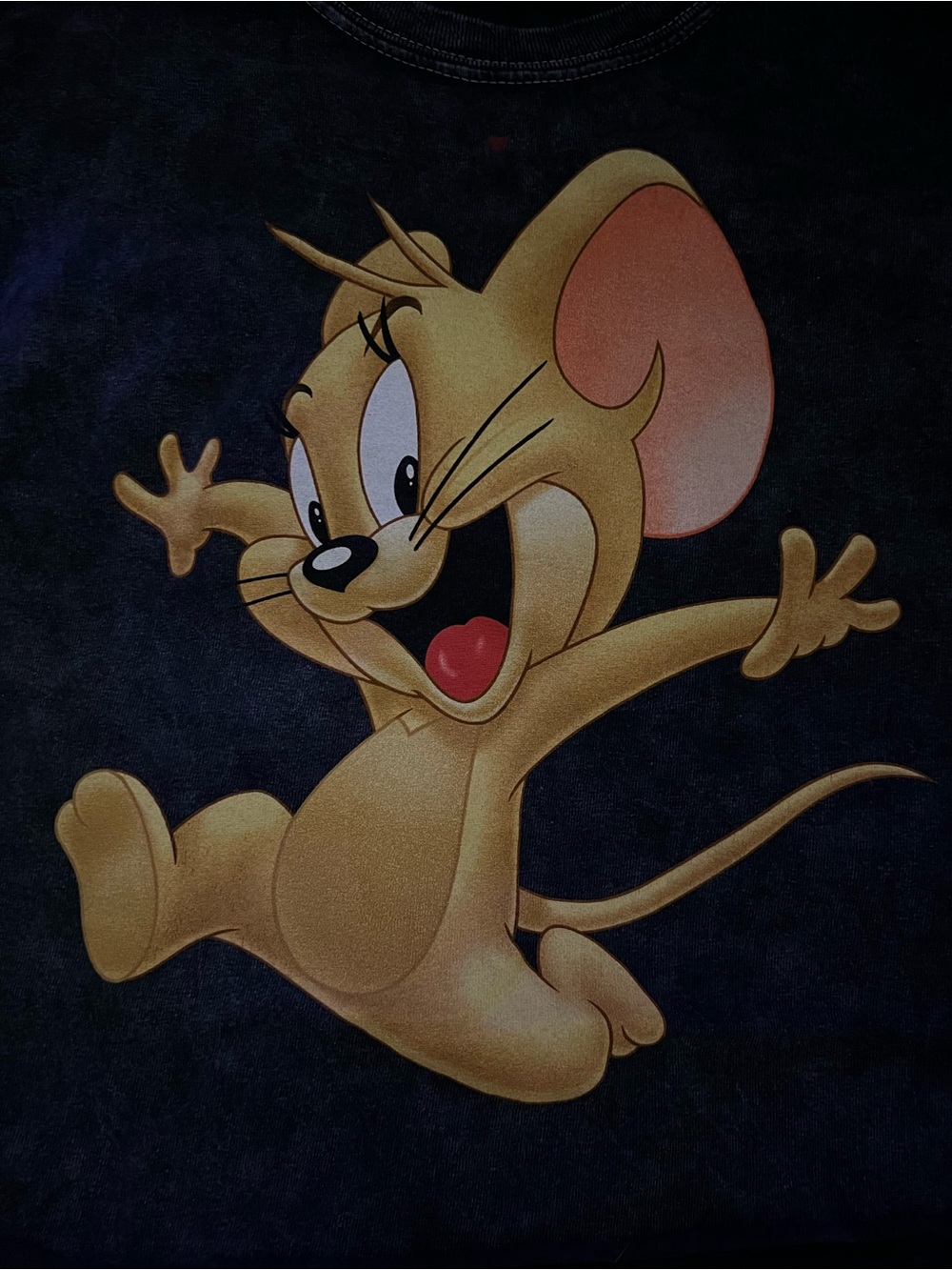 2H NWOT TOM & JERRY GRAY CROP TOP TSHIRT